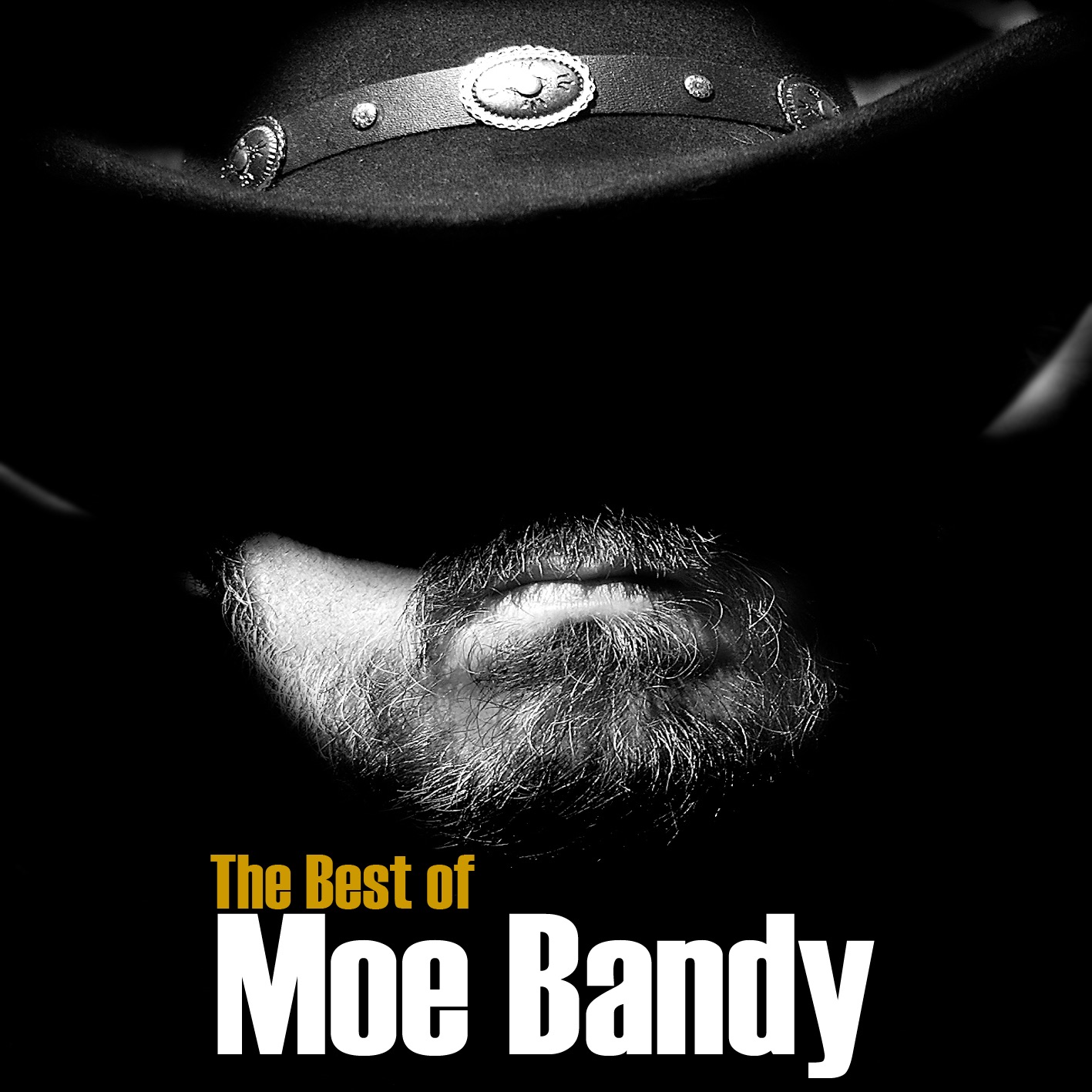 The Best Of Moe Bandy