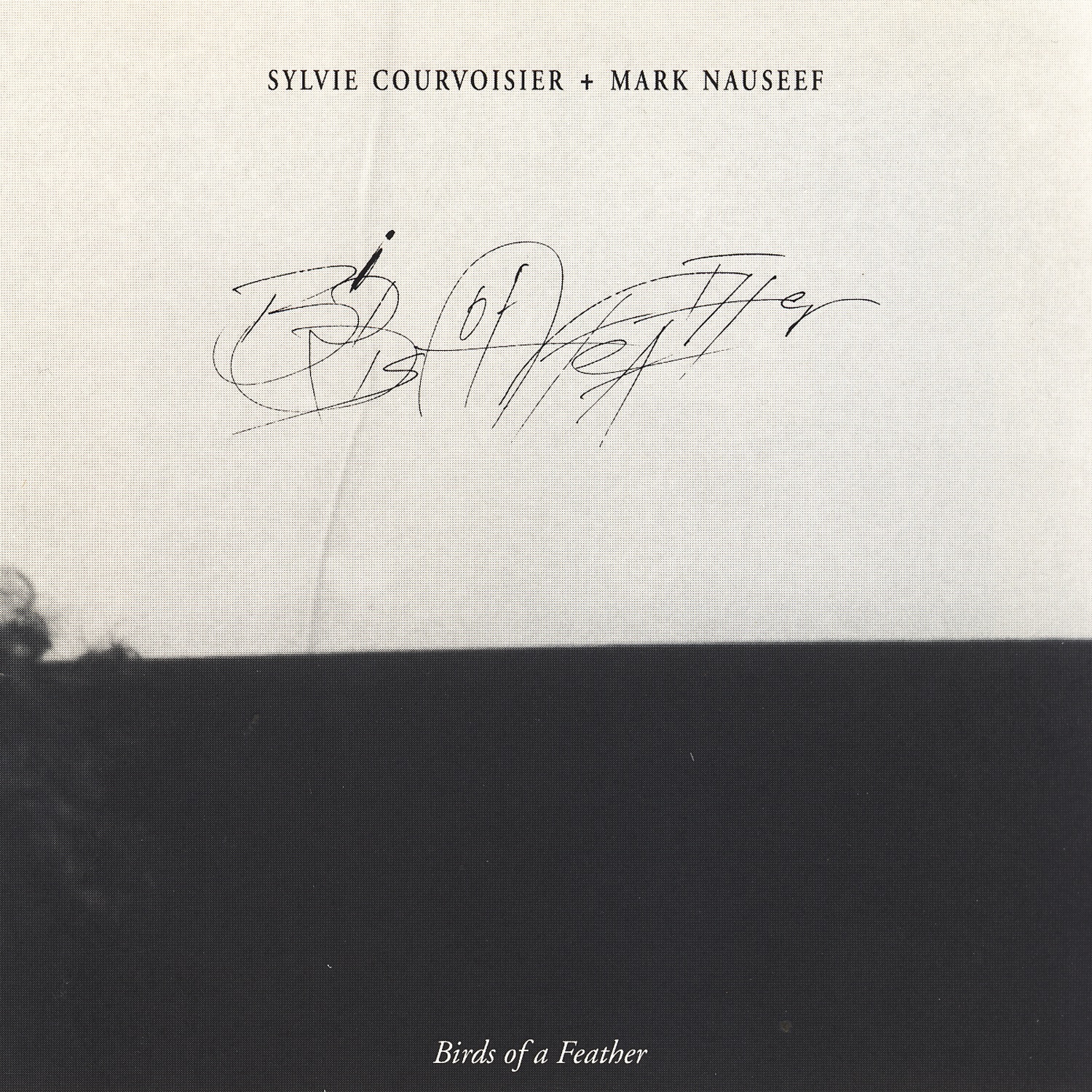 Birds of a Feather by Sylvie Courvoisier & Mark Nauseef album cover