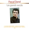 Les grands succès : Pascal Danel, 2012