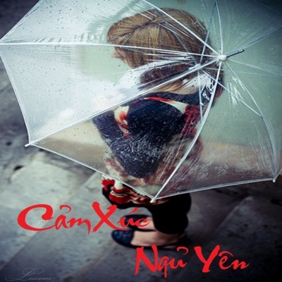 Hong Quang & Ngoc Anh - The Reason