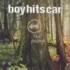 Boy Hits Car