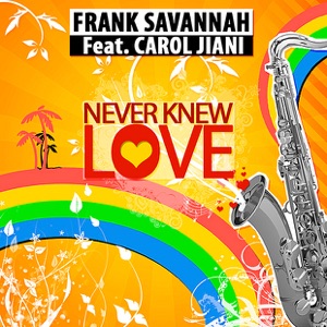 Never Knew Love