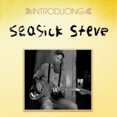 Introducing... Seasick Steve - EP artwork