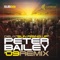 Sun Rising Up (Peter Bailey 09 Remix) artwork