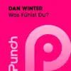 Dan Winter - Was Fühlst Du? (Radio Edit)