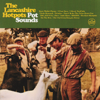 Pot Sounds - The Lancashire Hotpots