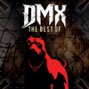 The Best of DMX (Re-Recorded Versions)