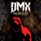 Ruff Ryders' Anthem - DMX lyrics