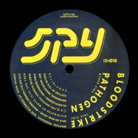 Spy - John Selway & S.P.Y