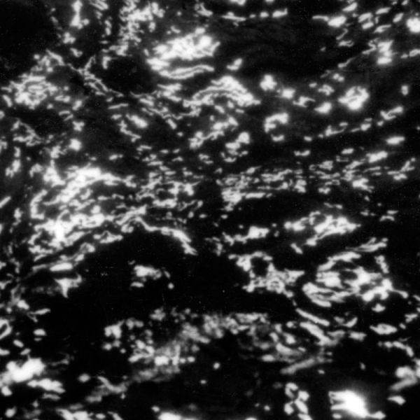 Обложка альбома «A I A : Dream Loss» — Grouper