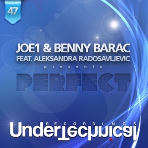 Perfect (Fuseboxers Remix) (feat. Aleksandra Radosavljevic)