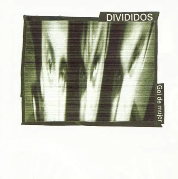 Alma de Budin — Divididos