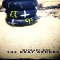 The Boat Ashore