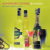 Re*Shaken: The Remix Album Project