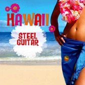 Hawaii - Steel Guitar artwork