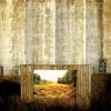 Hey Rosetta! - Seeds