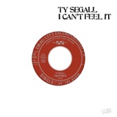 Ty Segall - Falling Hair