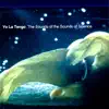 The Sea Horse