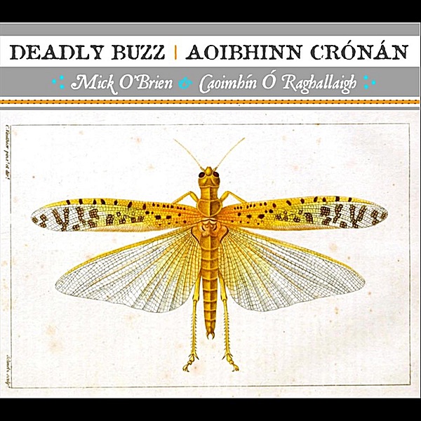 Deadly Buzz Aoibhinn Crónán