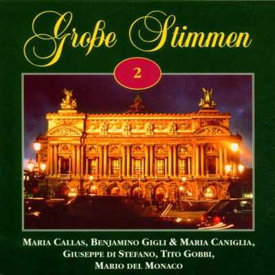 Grosse Stimmen Vol. 2