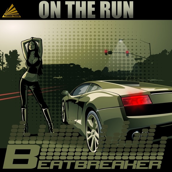 On The Run (Radio Mixes)