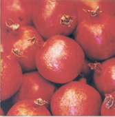 Tule Sellaisena Kuin Olet