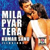 Mila Pyar Tera