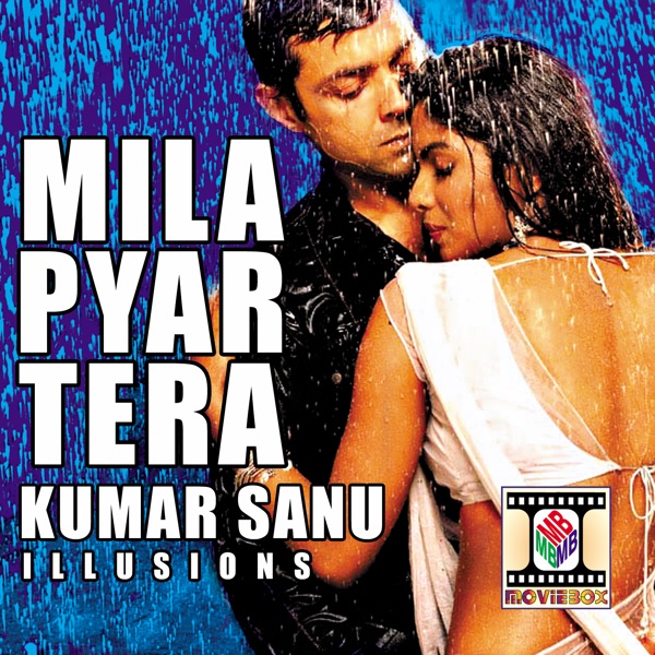 Mila Pyar Tera (Illusions) artwork