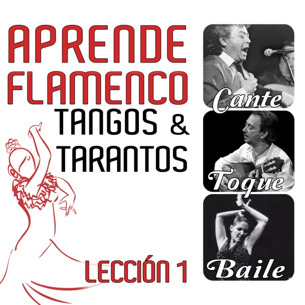 Aprende Flamenco. Tangos y Tarantos. Lección 1