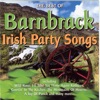 The Best Of Irish Party Songs