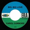 BIG BIG LOVE