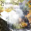 Stream & download Naturally Gushing, Vol. 2 石川県 / 中宮温泉 - 親谷の湯 - 岩間温泉 - EP