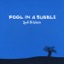 Fool In a Bubble