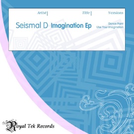 Use Your Imagination Seismal D
