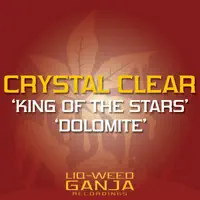 King of the Stars (feat. Netsky) — Crystal Clear