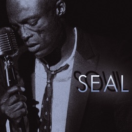 A Change Is Gonna Come Seal