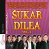 Sukar Dilea Vol.1 (Pure Madness Vol.1)