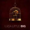 Luca Little - 94 Magical Moments