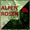 Alpenrosen - Die schönste Volksmusik - Various Artists