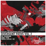 Divergent Paths Vol.2 - EP