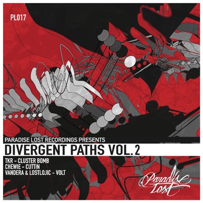 Divergent Paths Vol.2 - EP