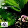 Max Bruch Scottish Fantasy, Op. 46: Introduction: Grave Max Bruch