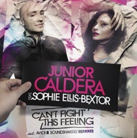 Can't Fight This Feeling (Shane Deether Remix) (feat. Sophie Ellis Bextor)