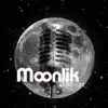 Moonlik - Lost On Segregation