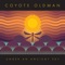 Home World - Coyote Oldman lyrics