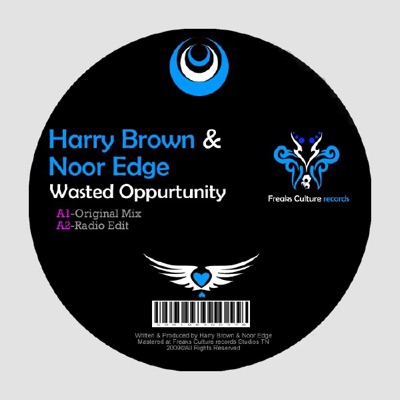 Wasted Oppurtunity - EP