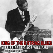 Big Joe Williams & His 9 String Guitar - Mama Don’t Allow Me to Fool Around All Night Long