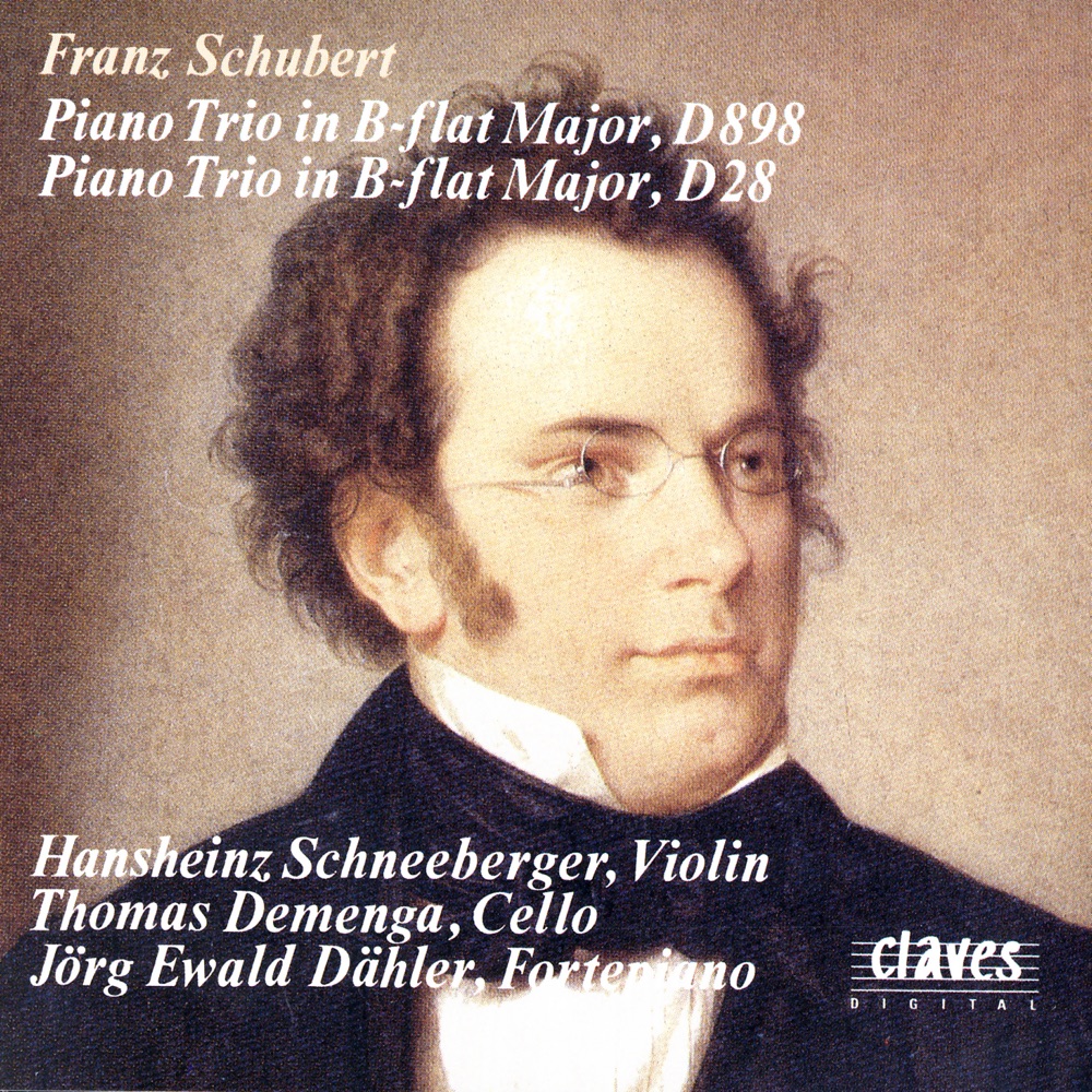Обложка альбома «Schubert: Piano Trios D. 898 & D. 28» — Hansheinz Schneeberger, Jörg Ewald Dähler & Thomas Demenga