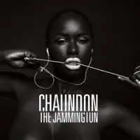 Skyline (feat. DJ Flash) — Chaundon