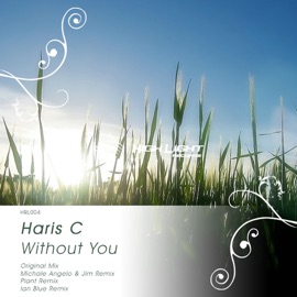Without You (Original Mix) Haris C